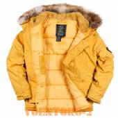 ������ N3B Oxford Nord Storm | ���� GOLDEN GLOW